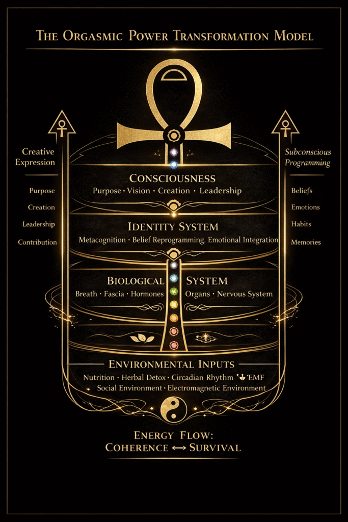 chatgpt image mar 14, 2026, 10 21 16 pm
