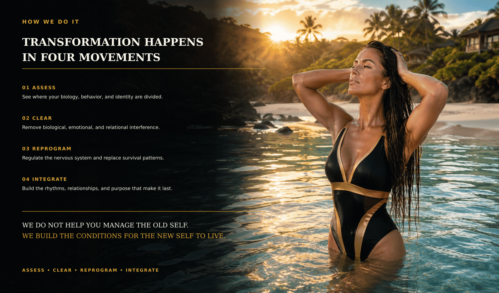 03 homepage section