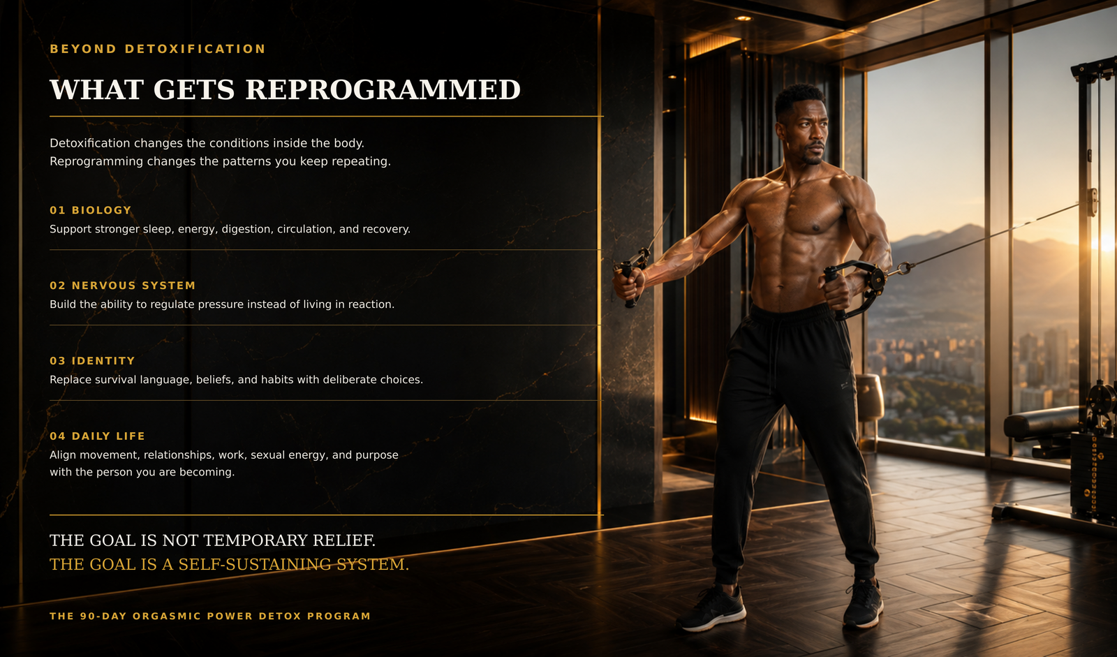 03 what gets reprogrammed